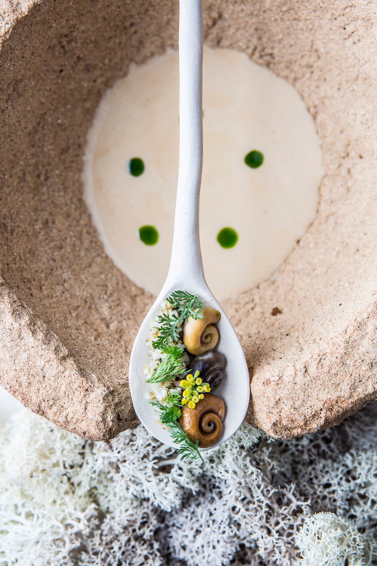 Puchero de cañaíllas